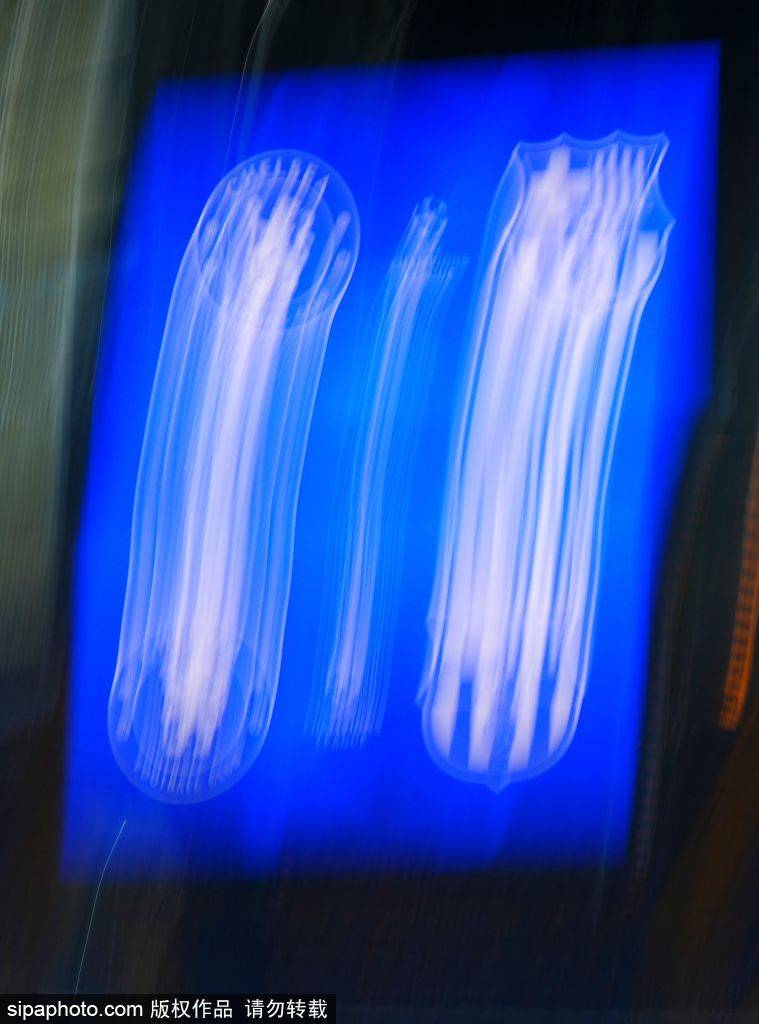 切尔西如何精准狙击巴萨防线：战术胜利的背后